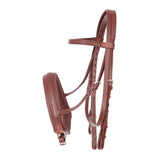 E41 لجام مزدوج