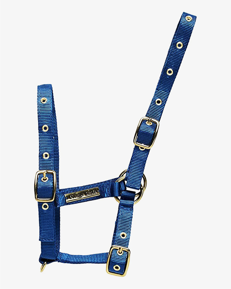CottageCraft_FoalHeadCollar_AlSaqb