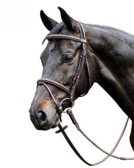 Prestige_E37LeatherBridle_AlSaqb