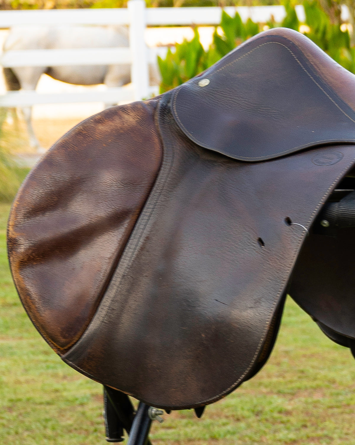 Jumping Saddle (Used)