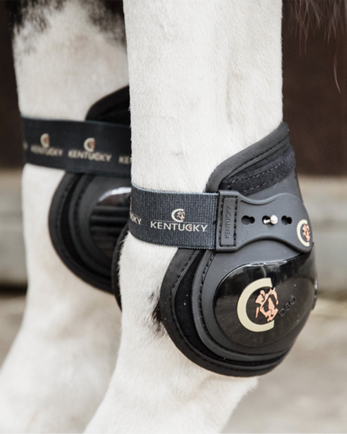 Moon Back Boots Elastic