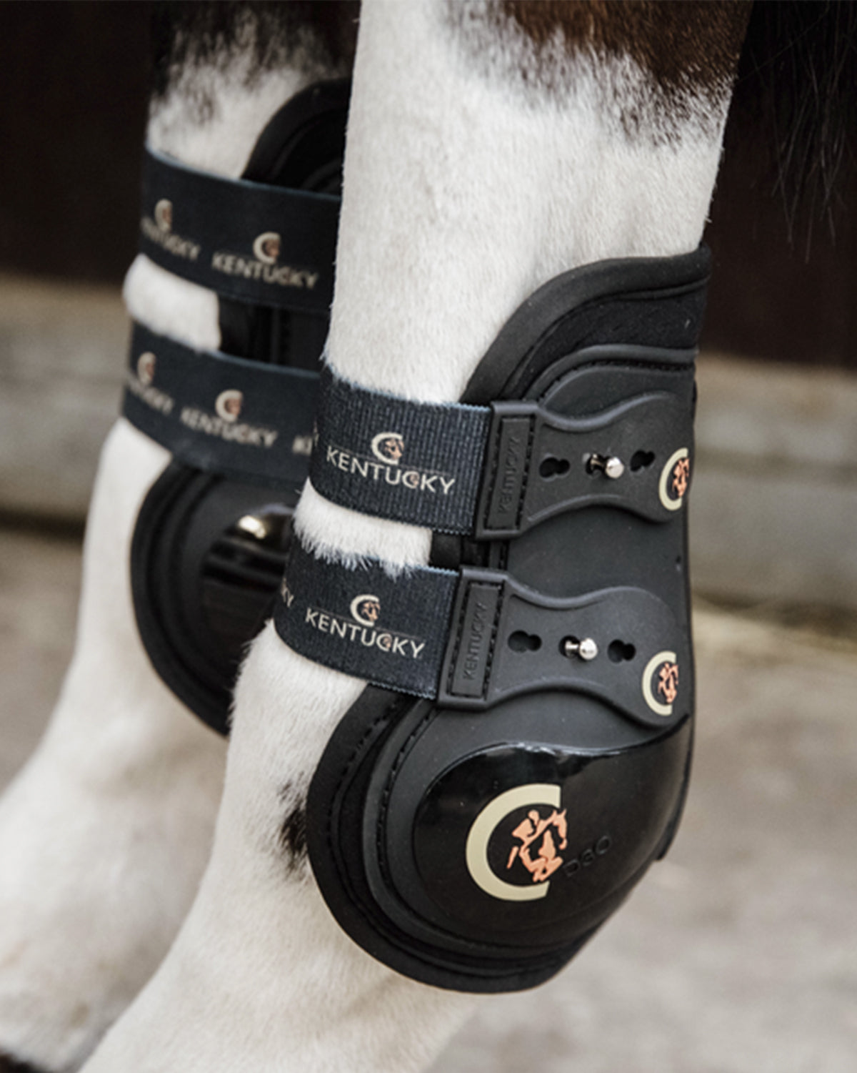 Moon Boots Max Elastic