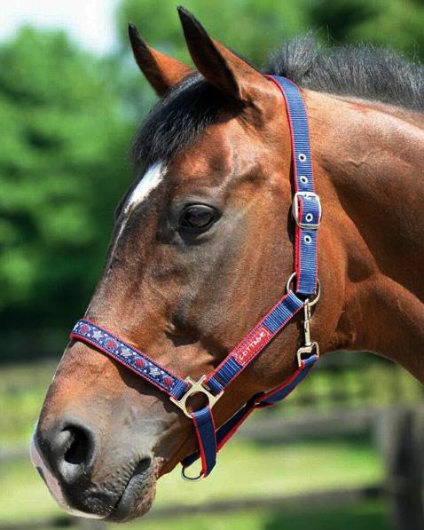 CottageCraft_GalaxyHalter_AlSaqb
