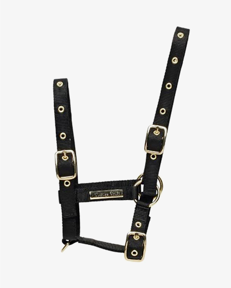 Foal Head Collar