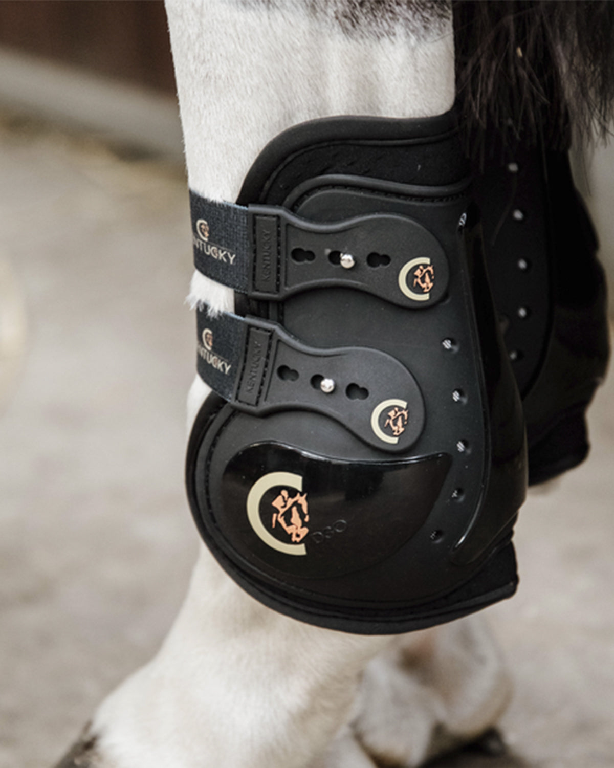 Moon Boots Max Elastic