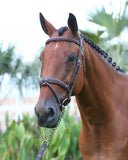 SilverCrown_BridonBridle_AlSaqb