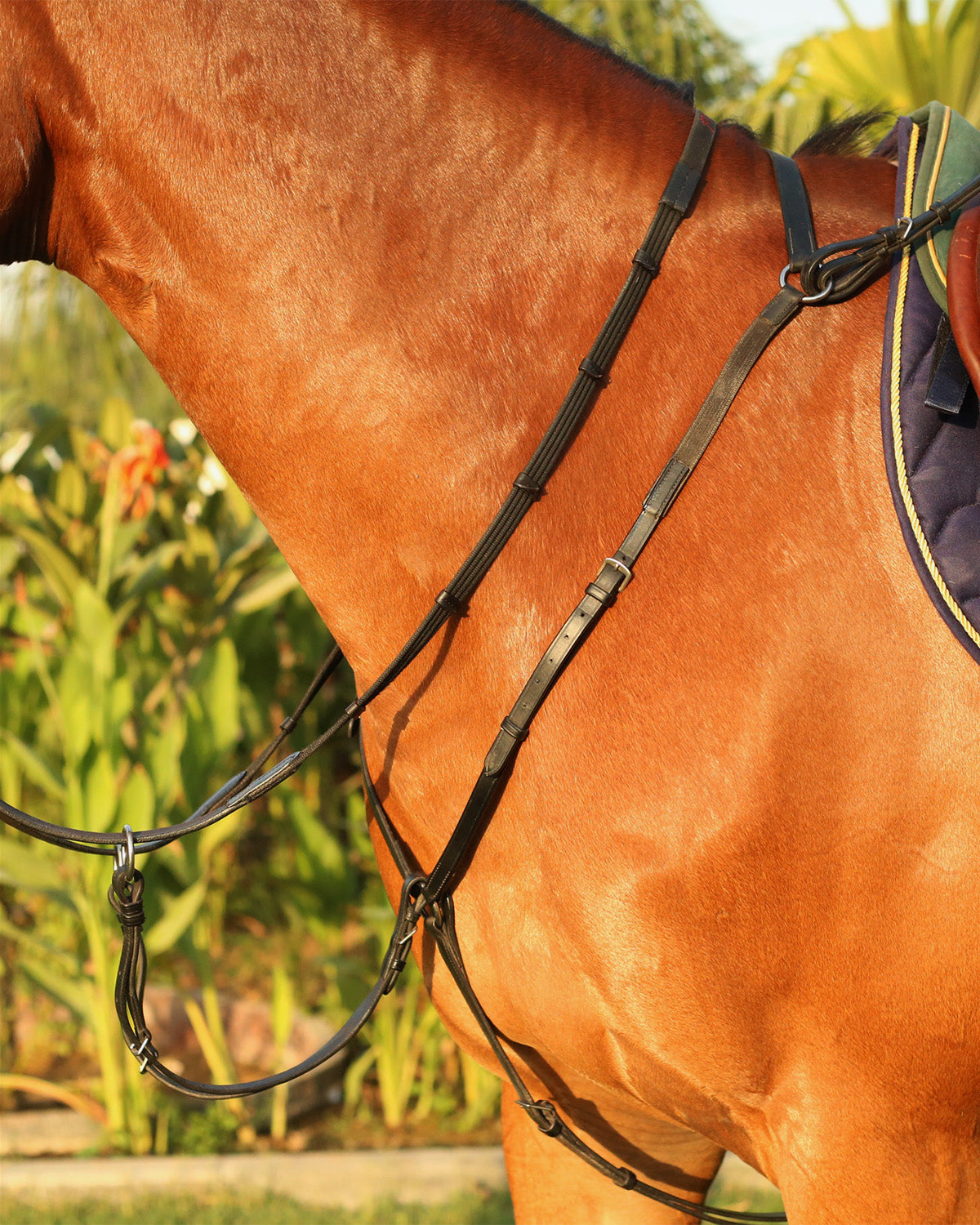 Elastic Breastplate