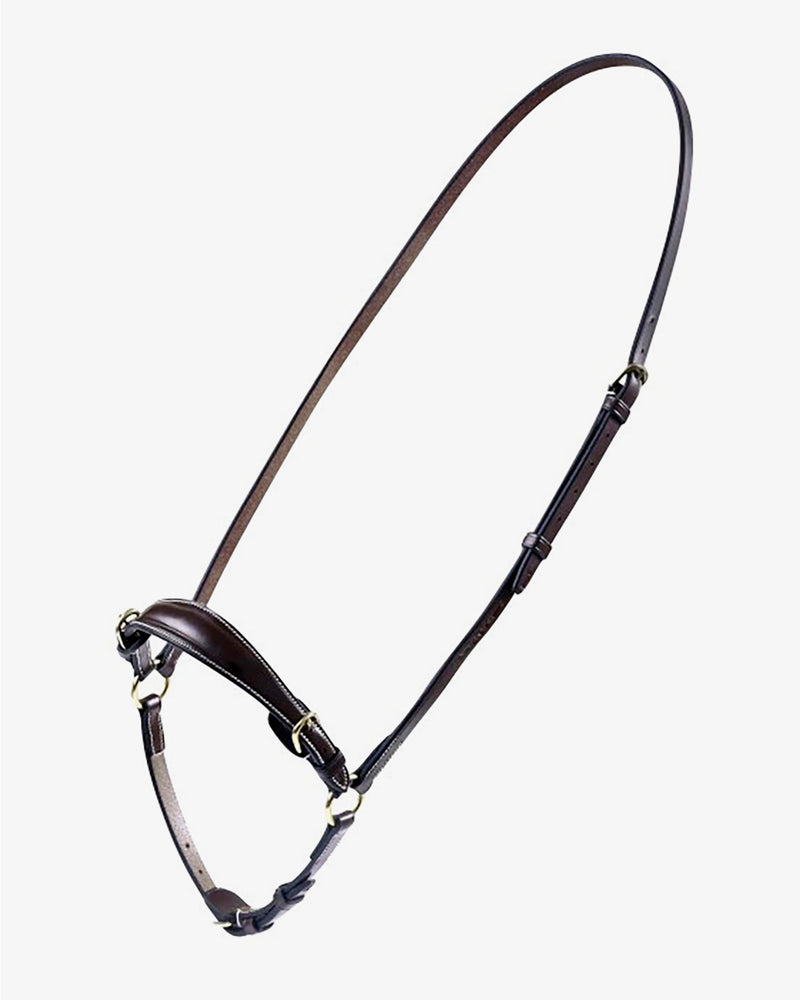 إسقاط Noseband