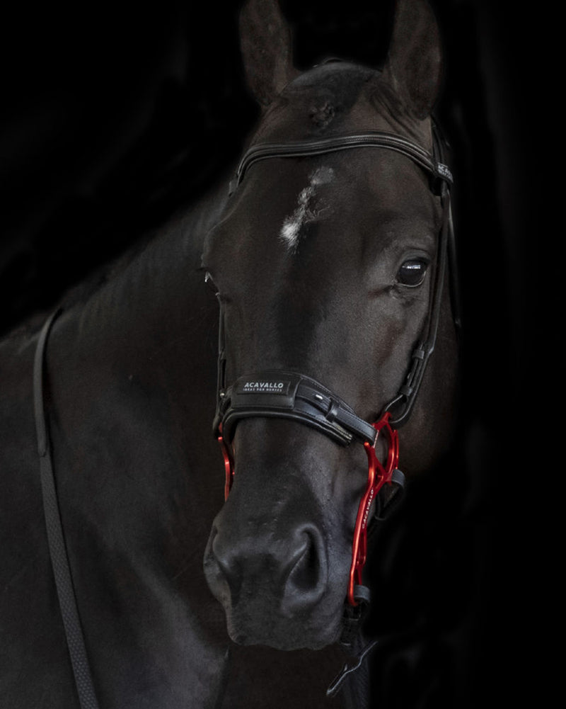 Leather Noseband for Hackamore
