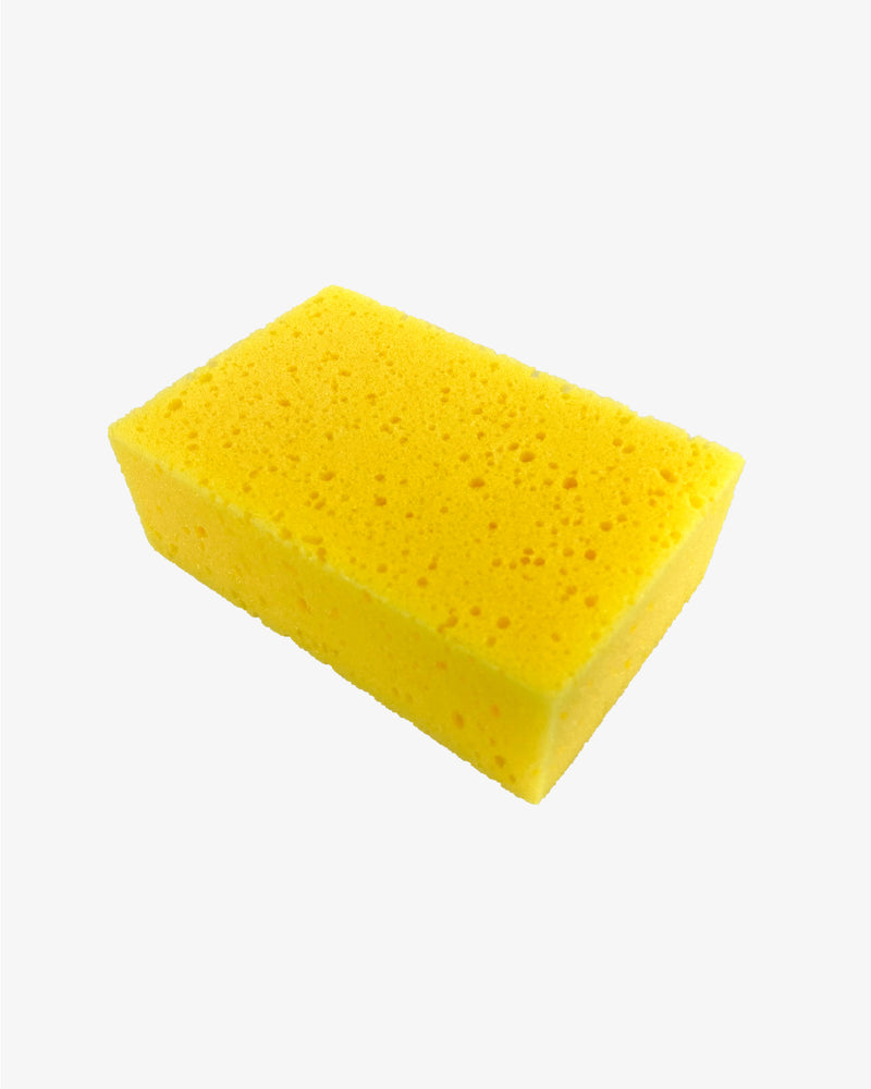 اسفنجة