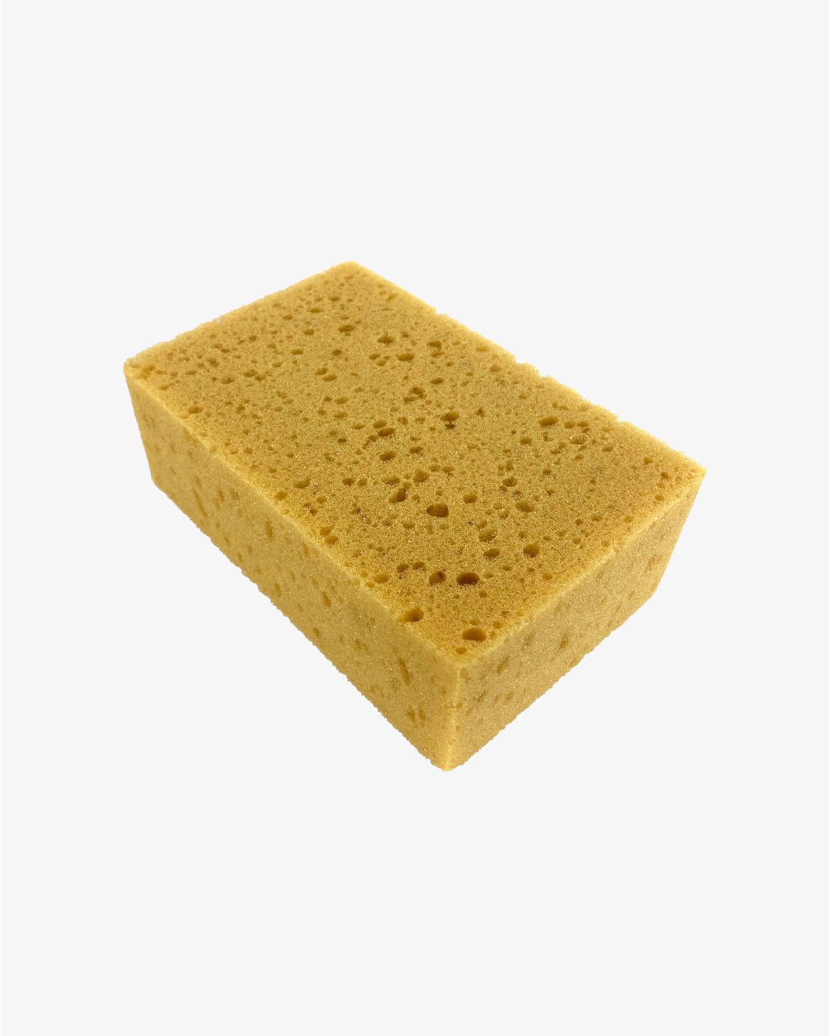 Sponge