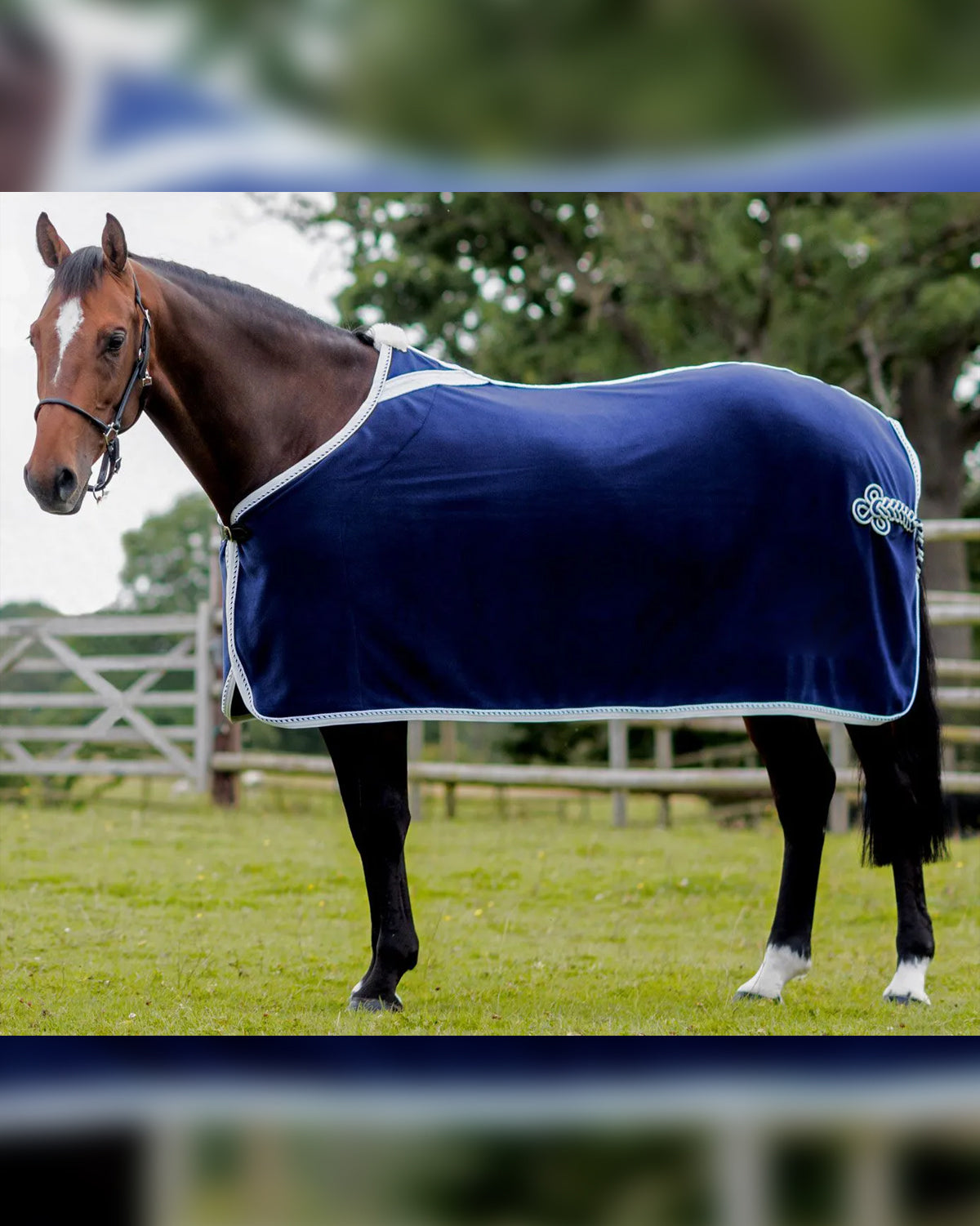 Classic Show Rug