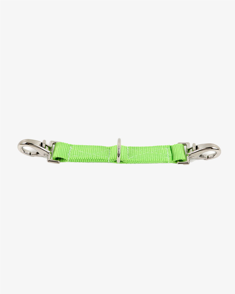Lunging Strap