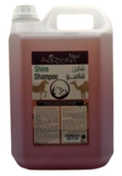 Shine shampoo 5 liters