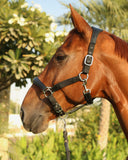 Nylon Head Collar