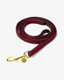 Plaited Nylon Dog Lead