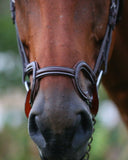 Bridle With Drop Nose Band