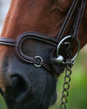 Bridle With Drop Nose Band