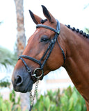 AlSakb_FlashBridle_AlSaqb