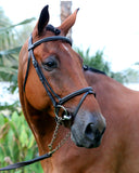 Flash Bridle