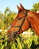 Mexican Bridle