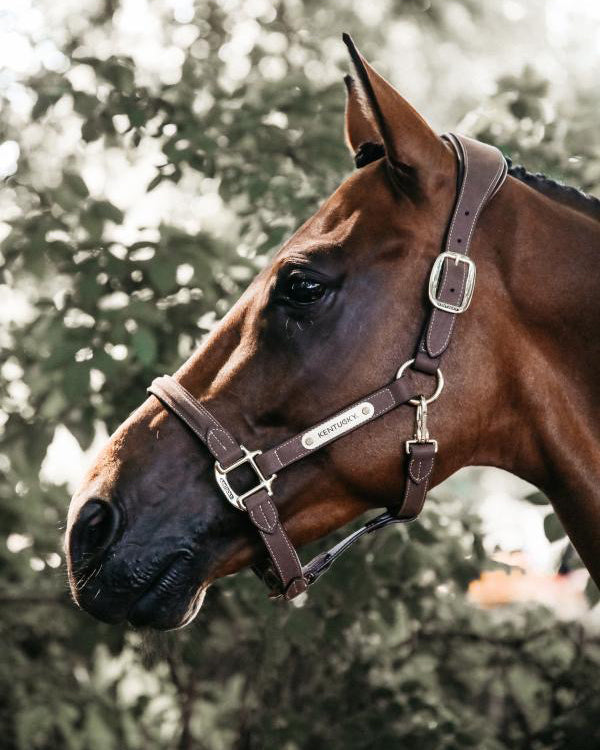 Anatomic Head Collar