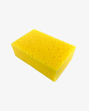 Sponge