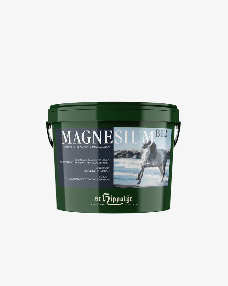 Magnesium B 12