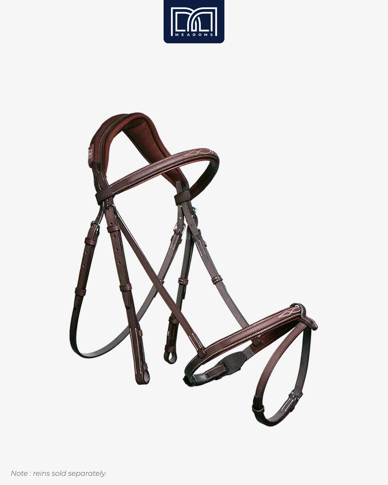 Bridle with Fancy Stitching
