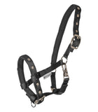 Foal Head Collar