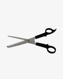 Stainless Steel Scissors